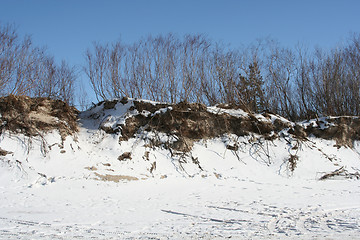 Image showing Winter Scene