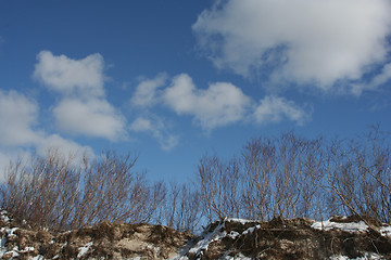 Image showing Sky in Winter Time