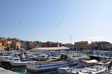 Image showing Colourful Croatian  Marina with seagulls