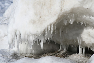 Image showing Winter Details