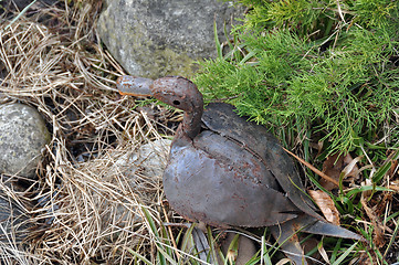 Image showing Metal duck in garden