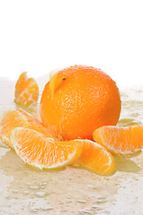 Image showing orange fruit