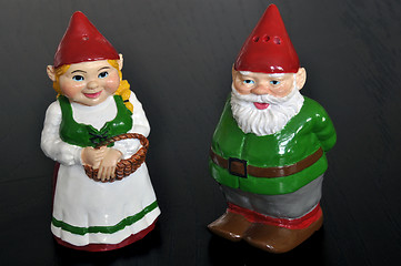 Image showing Salt and pepper shaker dwarfs