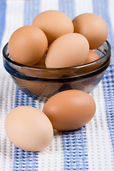 Image showing brown eggs