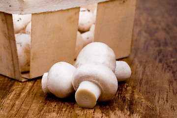 Image showing fresh champignon