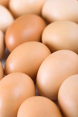 Image showing brown eggs