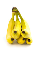 Image showing bananas bunch