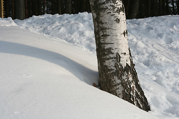 Image showing Winter Scene