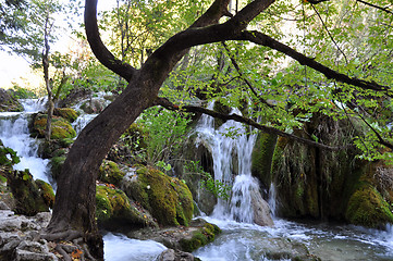 Image showing Small river and waterfalls