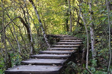 Image showing Boardwalk in forest, autumn