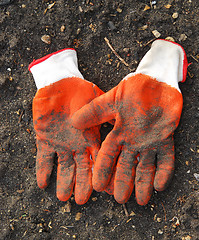 Image showing gloves