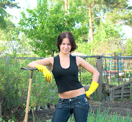 Image showing gardening