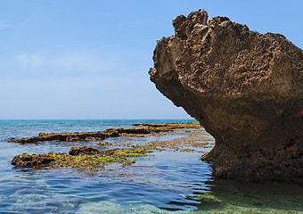 Image showing Scenic sea coast landscape with rocks and weeds