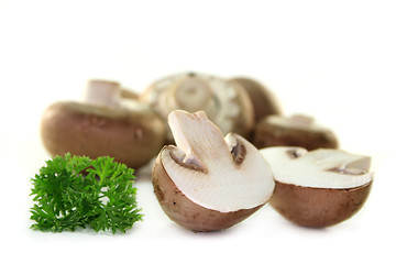 Image showing Mushroom