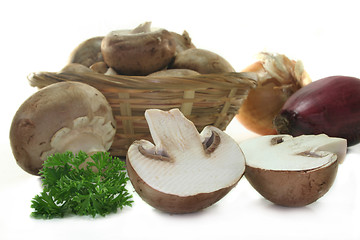 Image showing Mushroom