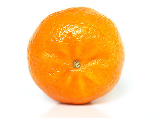 Image showing Tangerine