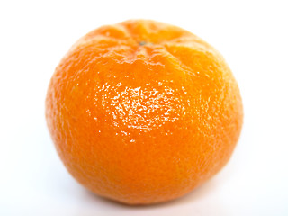 Image showing Tangerine