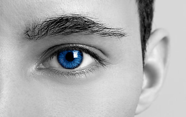 Image showing Blues Eyes