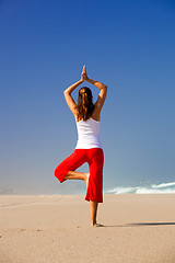 Image showing Young woman making Yoga