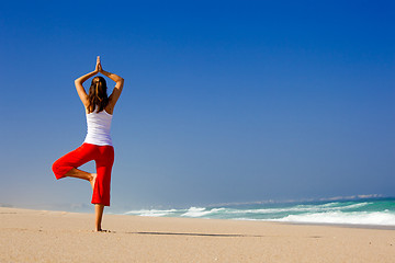 Image showing Young woman making Yoga