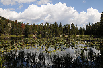 Image showing Nymph Lake