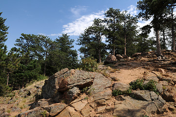 Image showing Lookout