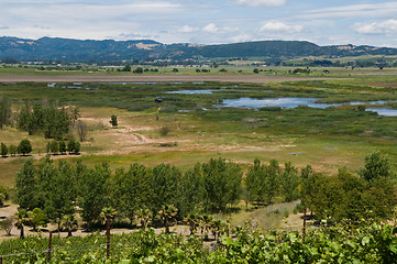 Image showing Sonoma Valley