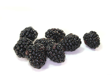 Image showing Blackberries