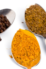 Image showing spices