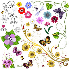 Image showing Big set flowers and  butterflies 