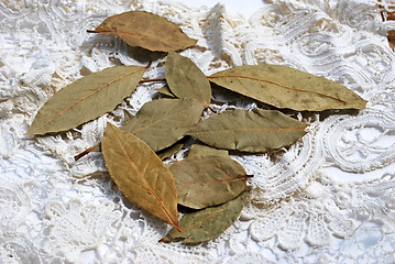 Image showing bay leaf