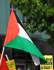 Image showing Palestinian flag