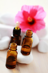Image showing hibiscus essential oil