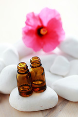 Image showing hibiscus essential oil