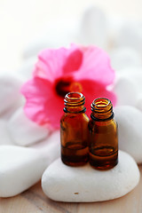 Image showing hibiscus essential oil