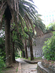 Image showing Romieu Gardens Bastia Corsica France