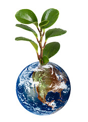 Image showing Earth planet with earth