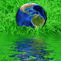 Image showing Earth at the green grass