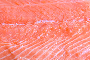 Image showing salmon closeup