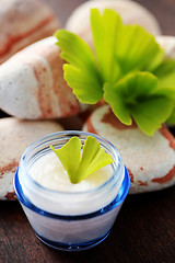 Image showing ginko moisturizer