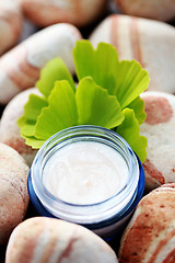 Image showing ginko moisturizer