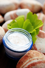 Image showing ginko moisturizer