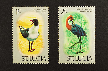 Image showing Birds stamps