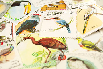Image showing Birds stamps