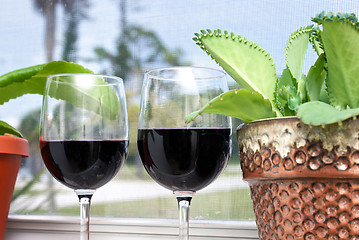 Image showing tropical wine vacation