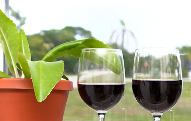 Image showing wine in the tropics