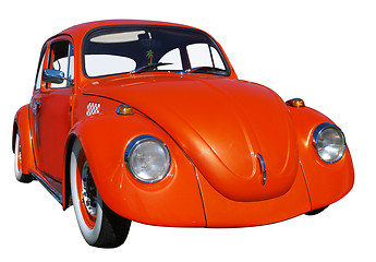 Image showing Orange Beetle