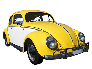 Image showing Yellow and White Beetle