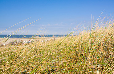 Image showing North Sea