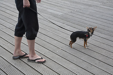 Image showing Walking the dog
